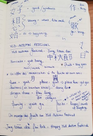 Mon cahier de révision