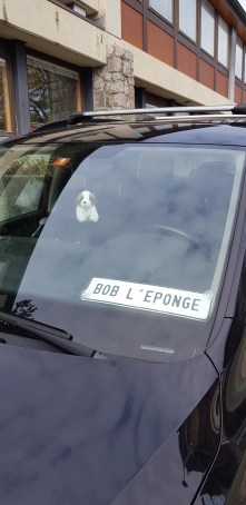 Bob l'éponge était aussi en Suisse!