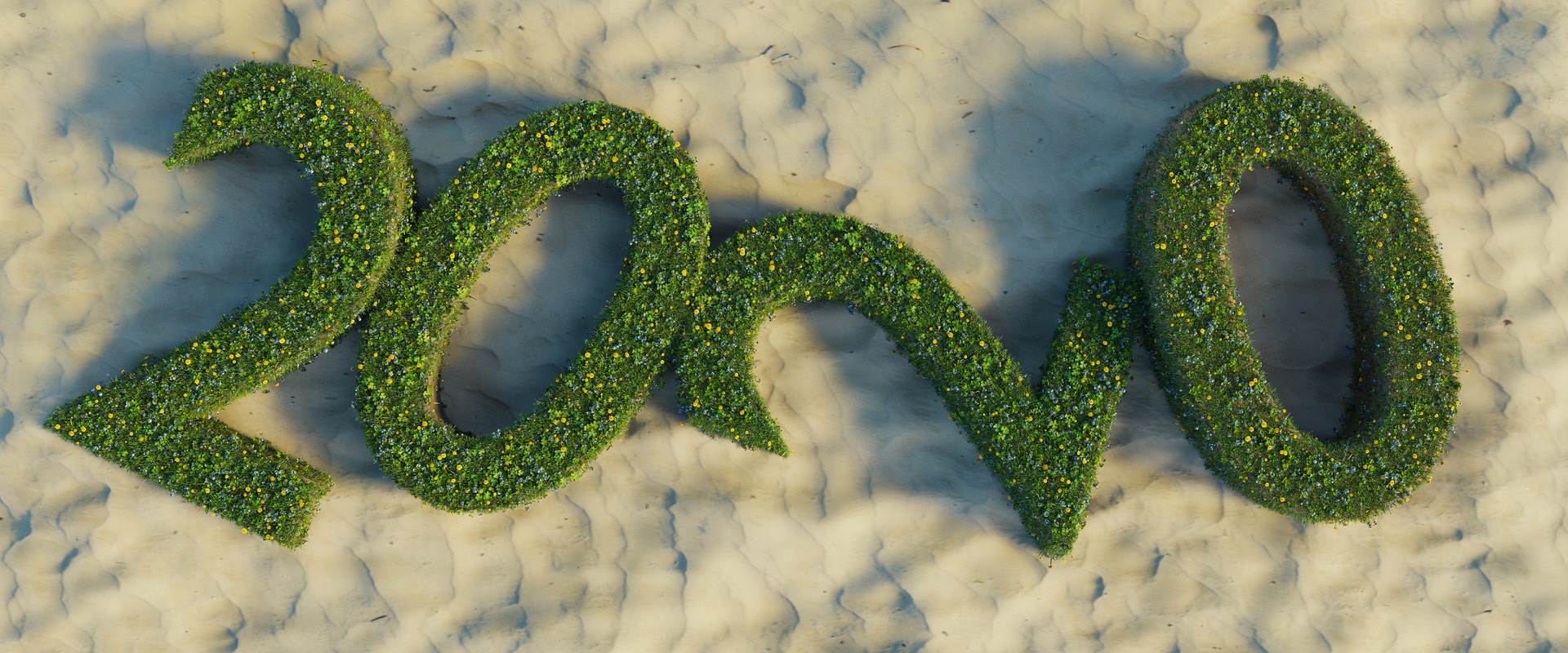 Photo par Akashskyprince sur Pixabay